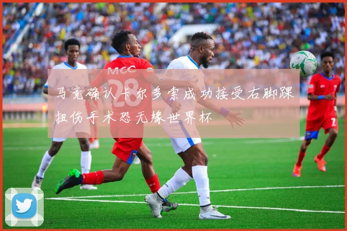 马竞确认卡尔多索成功接受右脚踝扭伤手术恐无缘世界杯